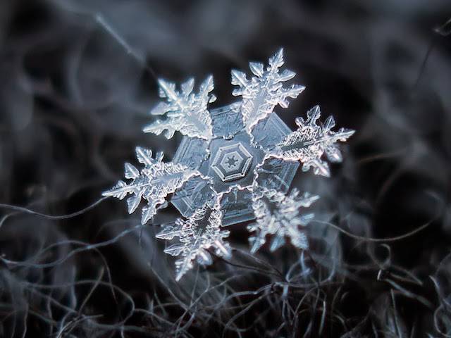 Snowflakes – a natural phenomenon explained by science