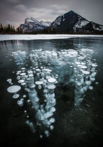 Frozen bubbles lake canada