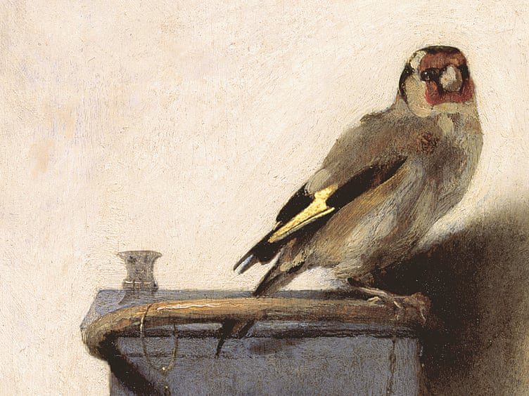 The goldfinch by carel fabritius, 1654