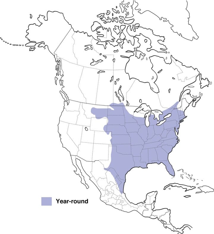 Eastern screech owl habitat map