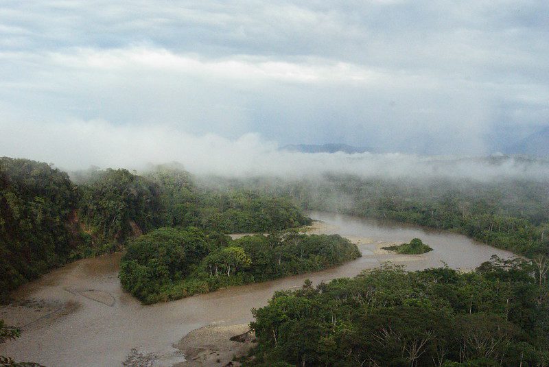 Cloud Forests of Ecuador