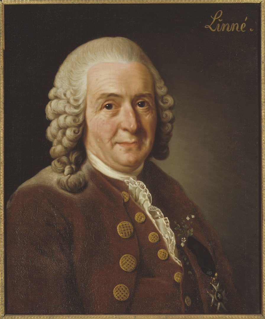 Charles Linnaeus