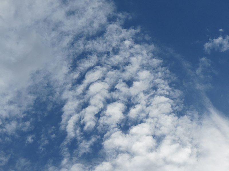 Altocumulus Cloud ()