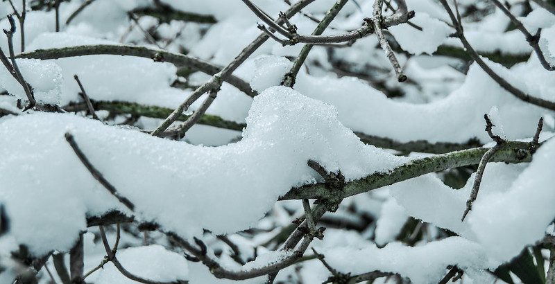 Winter Precipitation Types Snow Sleet & Freezing Rain ()